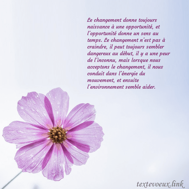 Carte électronique avec fleur violette