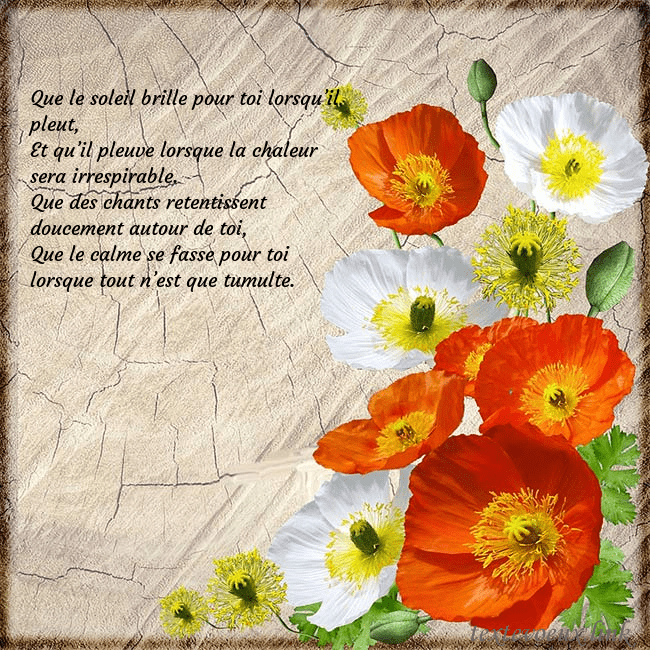 Carte d'anniversaire avec des coquelicots