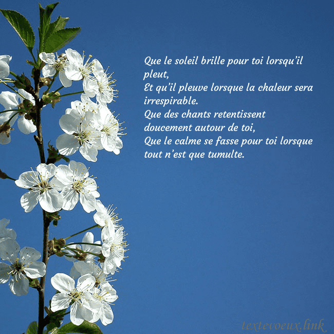 Carte de voeux avec des fleurs de printemps