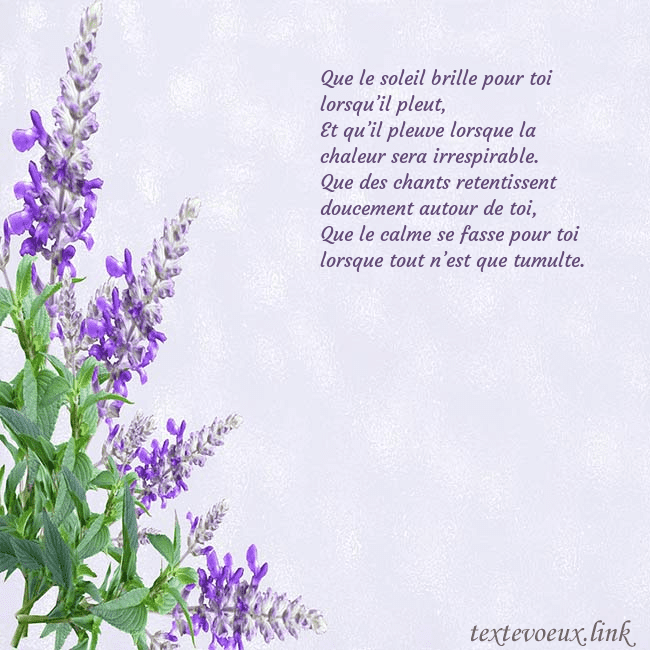 Carte d'anniversaire avec des lupins