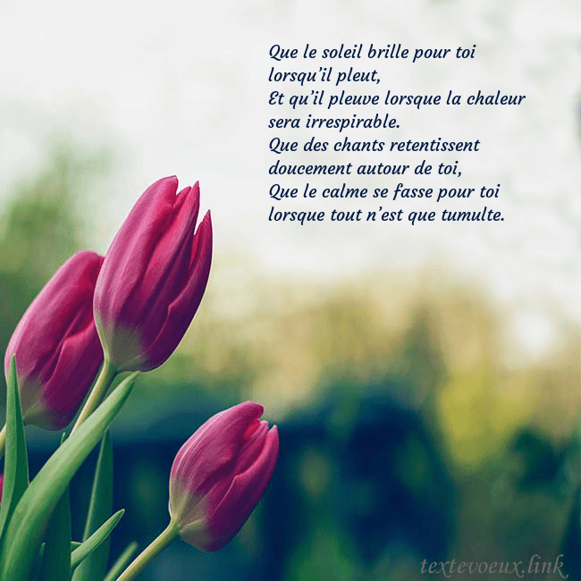 Carte d'anniversaire avec trois tulipes rouges