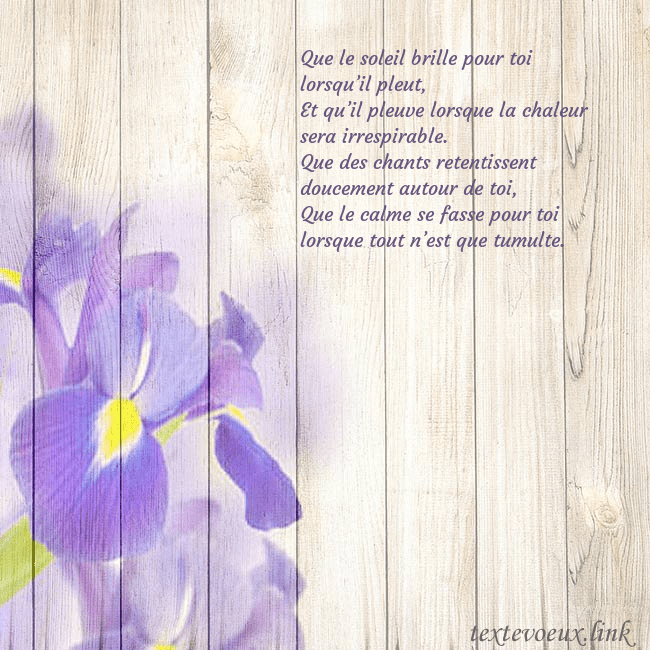 Carte d'anniversaire avec des iris