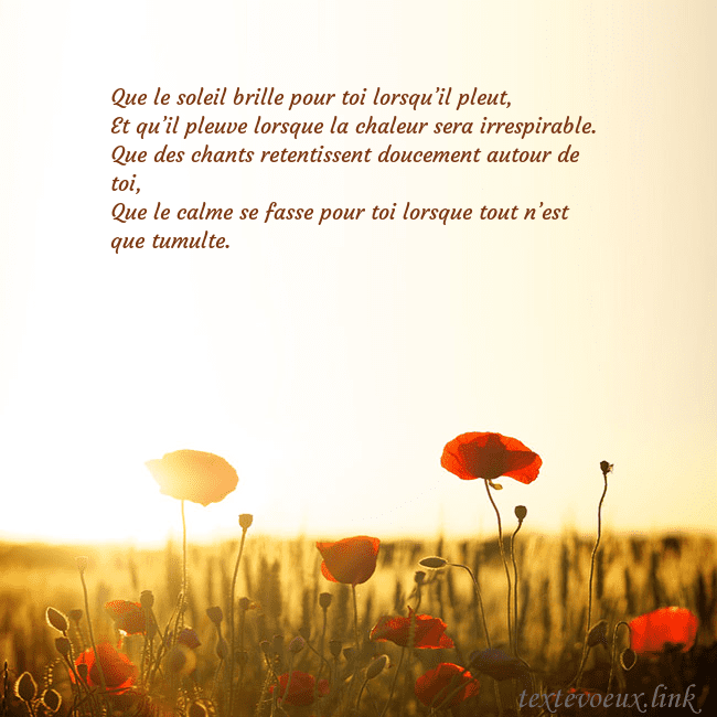 Carte postale électronique avec soleil et champ de coquelicots