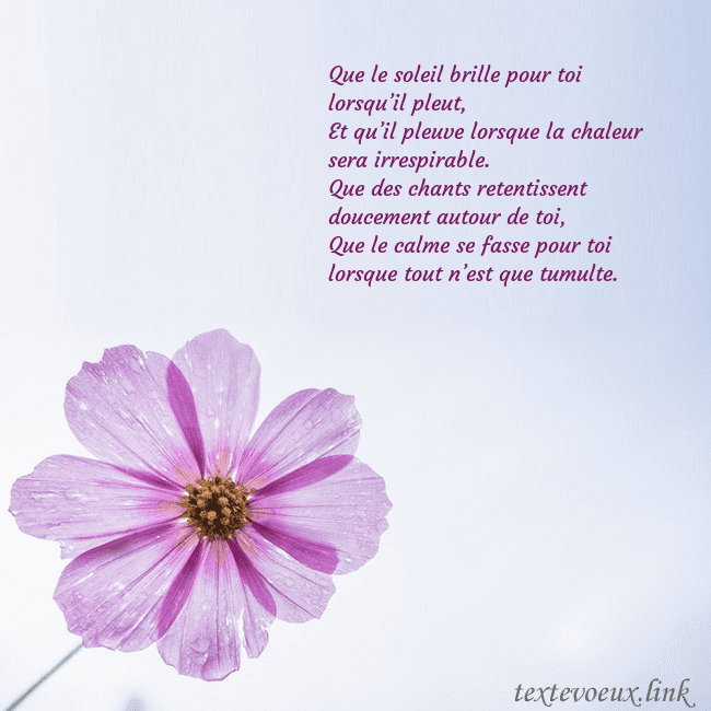 Carte électronique avec fleur violette