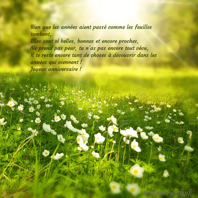 Carte électronique avec soleil et prairie