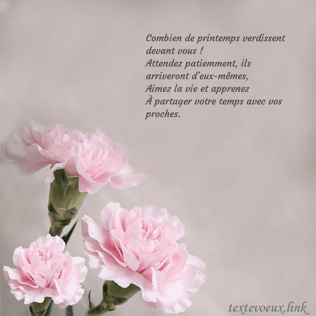 Carte de voeux avec oeillets roses Combien de printemps verdissent devant vous !
Atte Carte de voeux avec oeillets roses