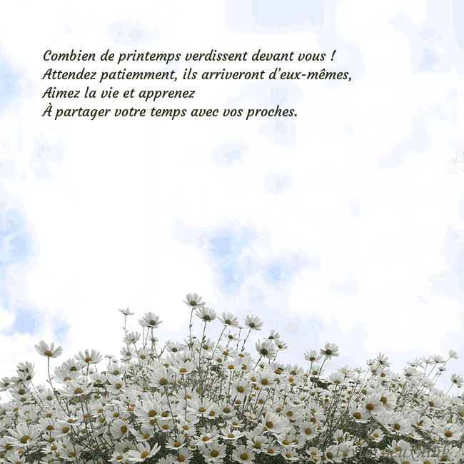 Carte de voeux avec marguerites Combien de printemps verdissent devant vous !
Atte Carte de voeux avec marguerites