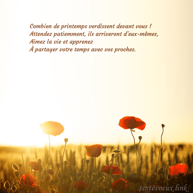 Carte postale électronique avec soleil et champ de coquelicots Combien de printemps verdissent devant vous !
Atte Carte postale électronique avec soleil et champ de coquelicots
