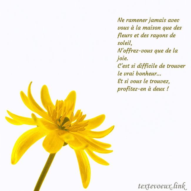 Carte de voeux avec fleur jaune