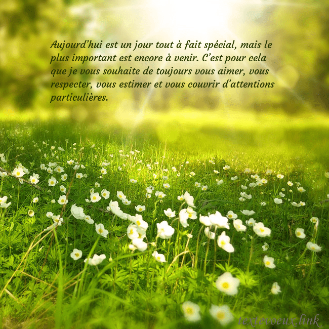 Carte électronique avec soleil et prairie Aujourd’hui est un jour tout à fait spécial, mais Carte électronique avec soleil et prairie