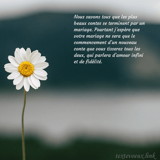 E-carte avec marguerite Nous savons tous que les plus beaux contes se term E-carte avec marguerite