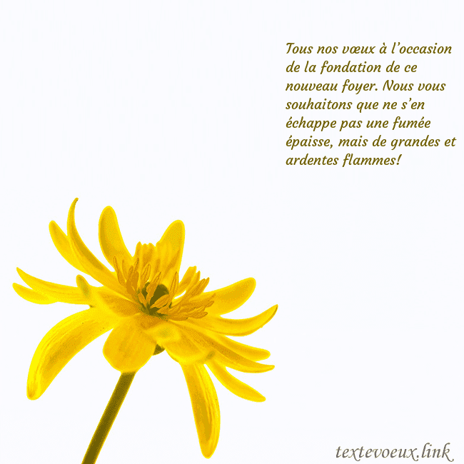 Carte de voeux avec fleur jaune