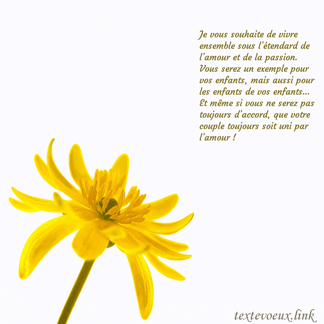 Carte de voeux avec fleur jaune