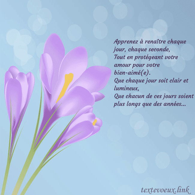 Cartes de vœux avec crocus Apprenez à renaître chaque jour, chaque seconde,
T Cartes de vœux avec crocus