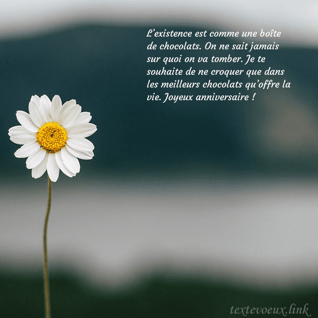 E-carte avec marguerite