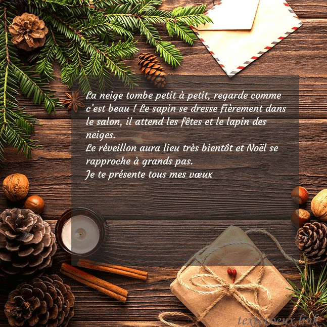 Carte de Noël avec pommes de pin et branche de sapin La neige tombe petit à petit, regarde comme c’est Carte de Noël avec pommes de pin et branche de sapin