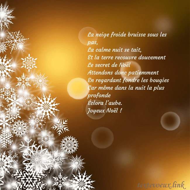 Carte postale avec un sapin de Noël fait de flocons de neige La neige froide bruisse sous les pas,
La calme nui Carte postale avec un sapin de Noël fait de flocons de neige
