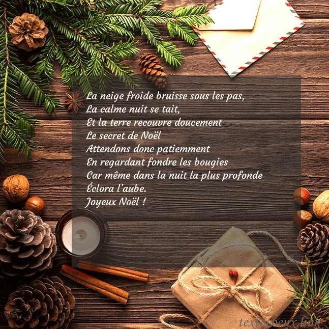 Carte de Noël avec pommes de pin et branche de sapin La neige froide bruisse sous les pas,
La calme nui Carte de Noël avec pommes de pin et branche de sapin