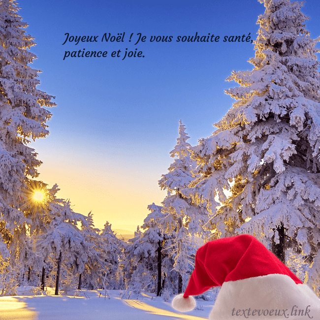 Carte de vœux avec une forêt enneigée