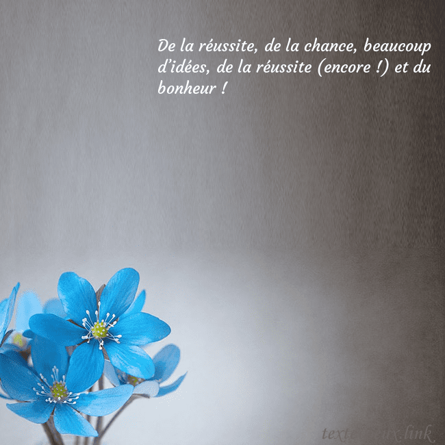 Carte postale avec violettes