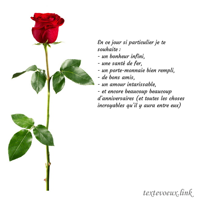 Carte de vœux avec une rose rouge