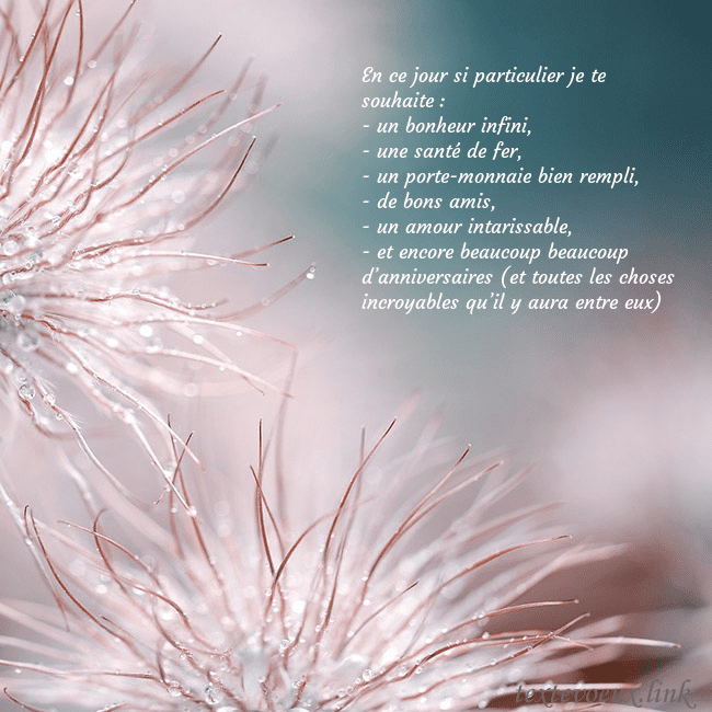 Carte postale avec des plantes duveteuses