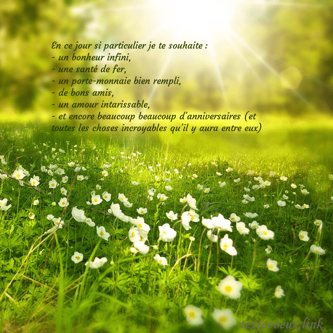 Carte électronique avec soleil et prairie