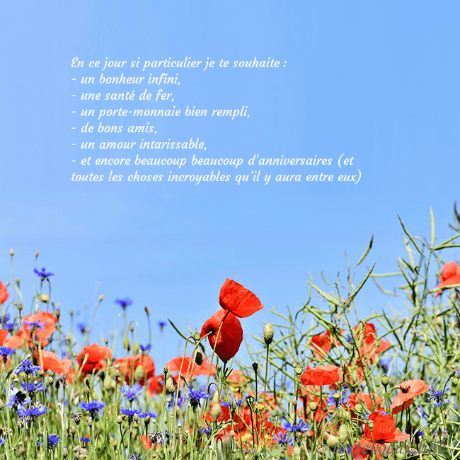 Carte d'anniversaire avec des coquelicots
