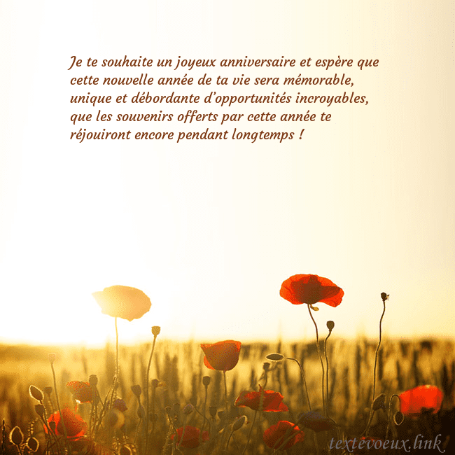 Carte postale électronique avec soleil et champ de coquelicots