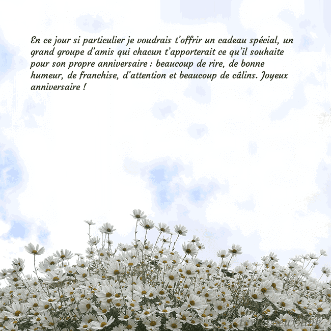 Carte de voeux avec marguerites