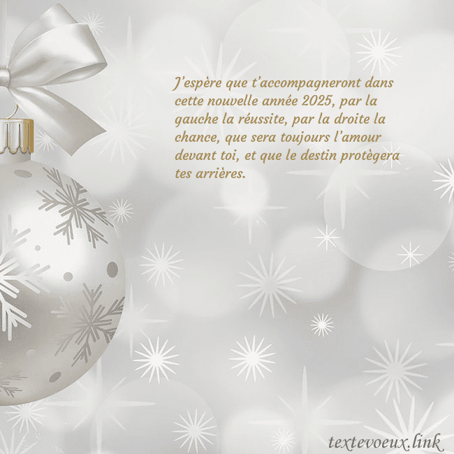 Carte postale avec un jouet de sapin de Noël en argent J’espère que t’accompagneront dans cette nouvelle Carte postale avec un jouet de sapin de Noël en argent