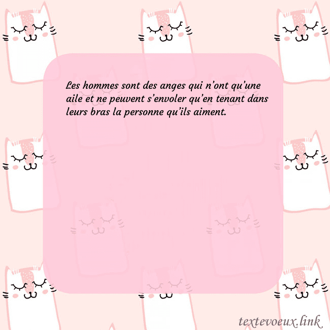 Carte de voeux rose avec des chats drôles