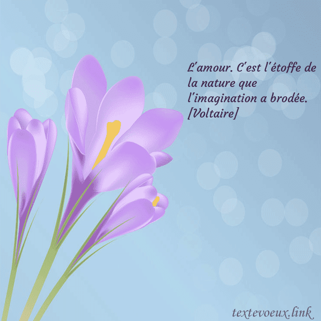 Cartes de vœux avec crocus