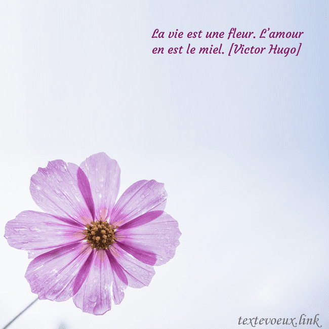 Carte électronique avec fleur violette