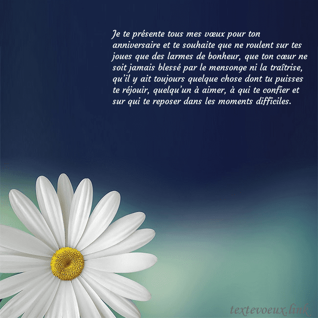 Carte postale avec une grande marguerite