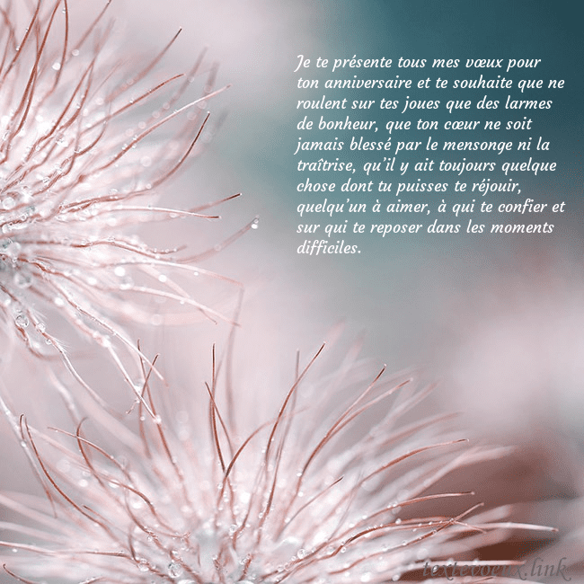 Carte postale avec des plantes duveteuses