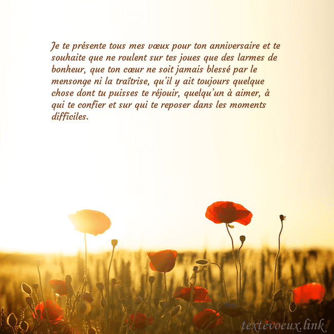 Carte postale électronique avec soleil et champ de coquelicots