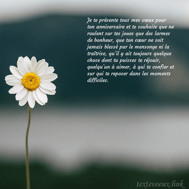 E-carte avec marguerite