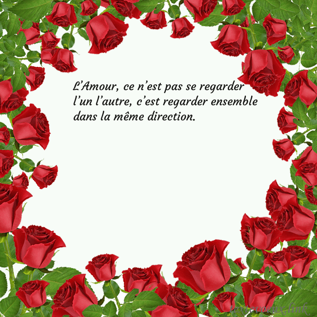 Cartes de vœux avec beaucoup de roses