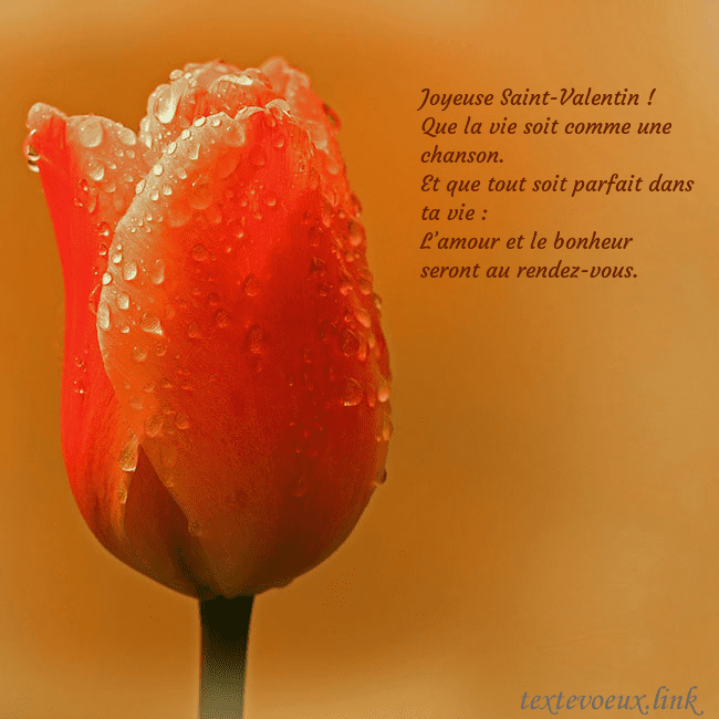 Carte de voeux avec tulipe rouge Joyeuse Saint-Valentin !
Que la vie soit comme un Carte de voeux avec tulipe rouge