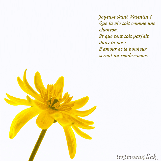 Carte de voeux avec fleur jaune Joyeuse Saint-Valentin !
Que la vie soit comme un Carte de voeux avec fleur jaune