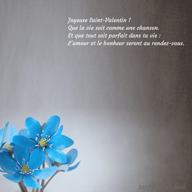 Carte postale avec violettes Joyeuse Saint-Valentin !
Que la vie soit comme un Carte postale avec violettes