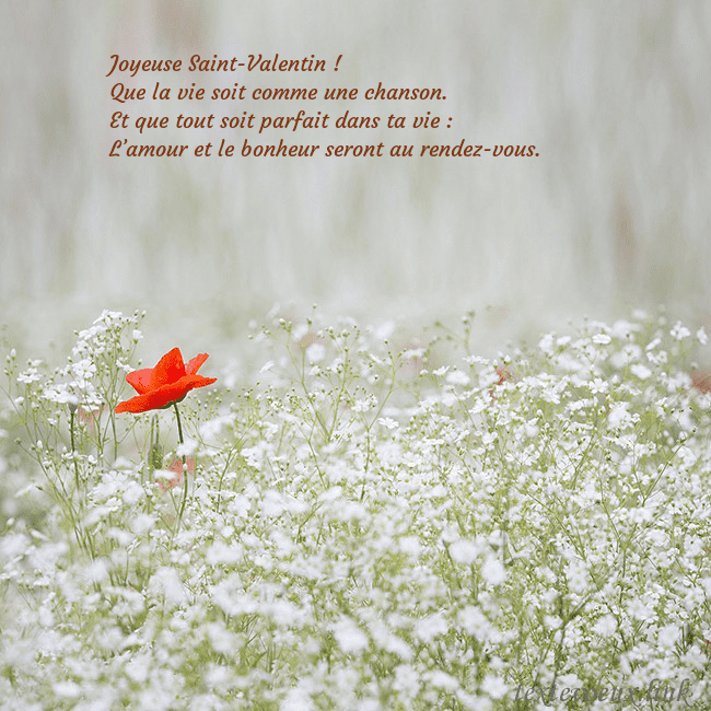 Carte électronique à fleurs blanches Joyeuse Saint-Valentin !
Que la vie soit comme un Carte électronique à fleurs blanches