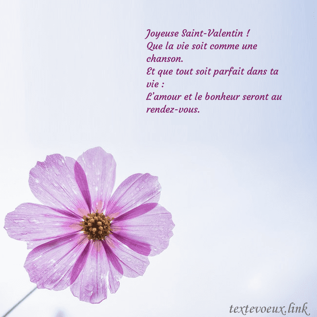 Carte électronique avec fleur violette Joyeuse Saint-Valentin !
Que la vie soit comme un Carte électronique avec fleur violette