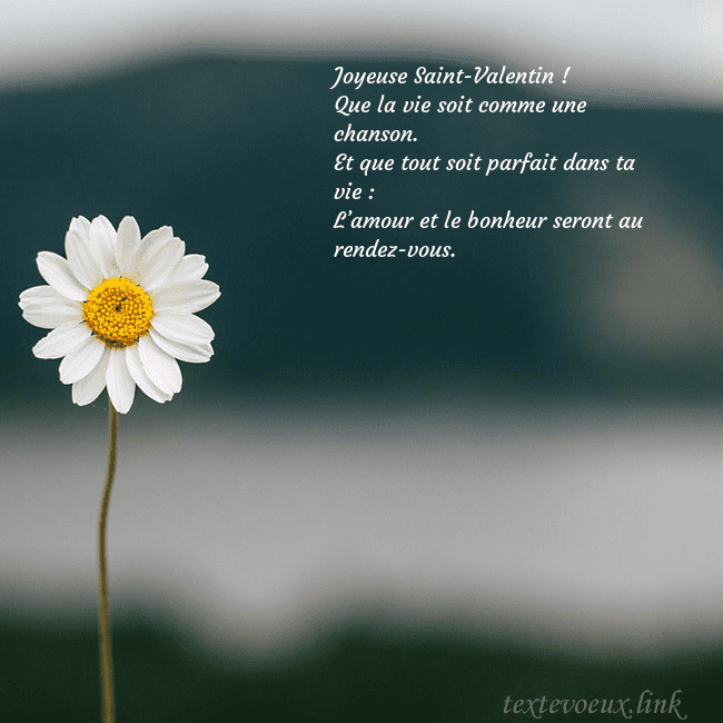E-carte avec marguerite Joyeuse Saint-Valentin !
Que la vie soit comme un E-carte avec marguerite