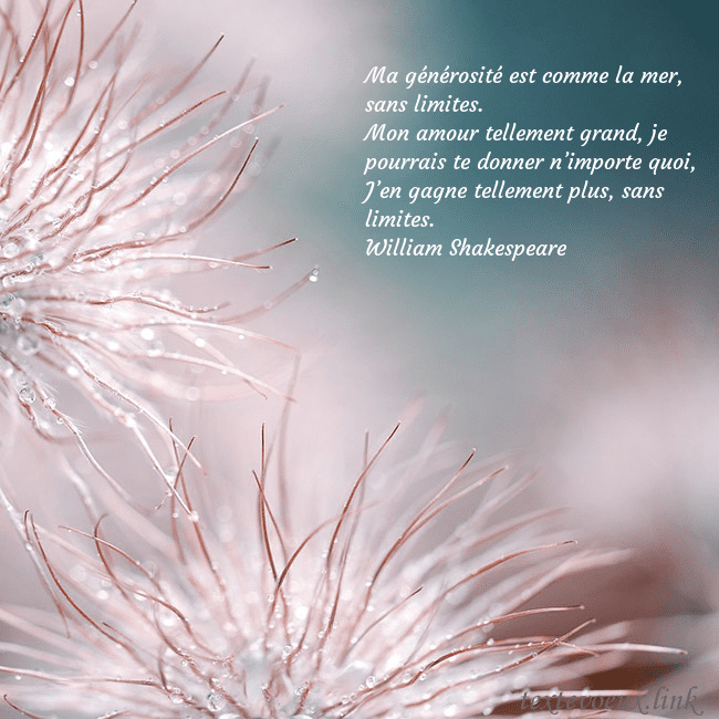 Carte postale avec des plantes duveteuses Ma générosité est comme la mer, sans limites.
Mon Carte postale avec des plantes duveteuses