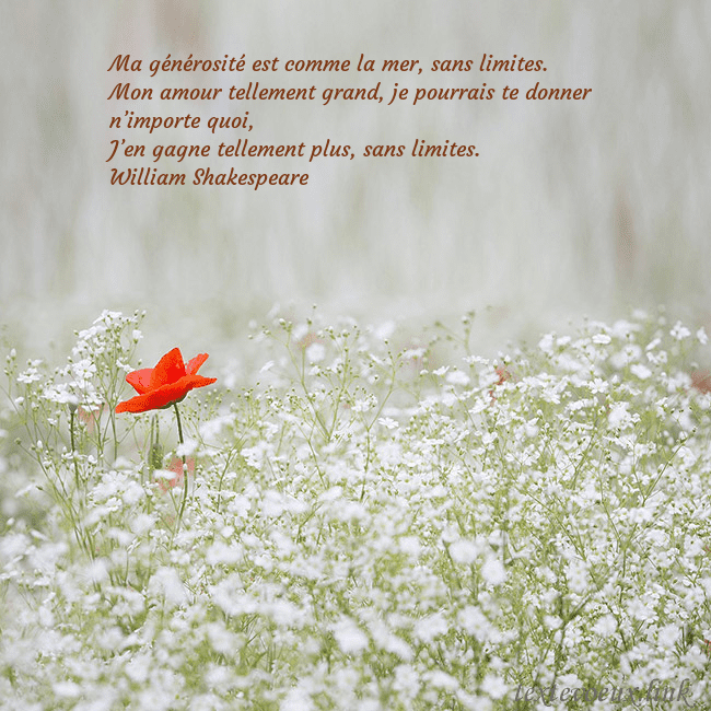 Carte électronique à fleurs blanches Ma générosité est comme la mer, sans limites.
Mon Carte électronique à fleurs blanches