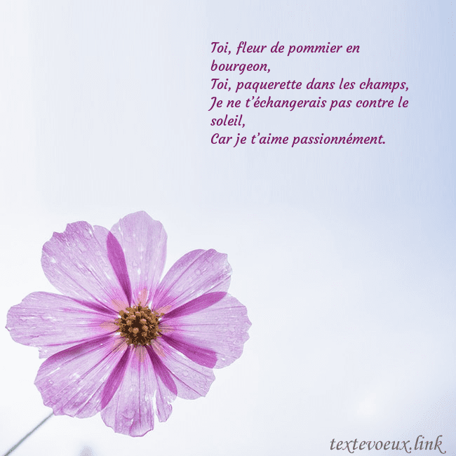 Carte électronique avec fleur violette Toi, fleur de pommier en bourgeon,
Toi, paquerette Carte électronique avec fleur violette