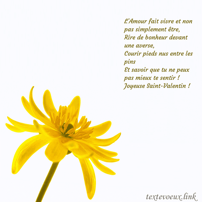 Carte de voeux avec fleur jaune