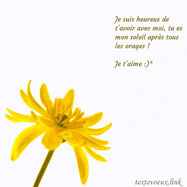 Carte de voeux avec fleur jaune